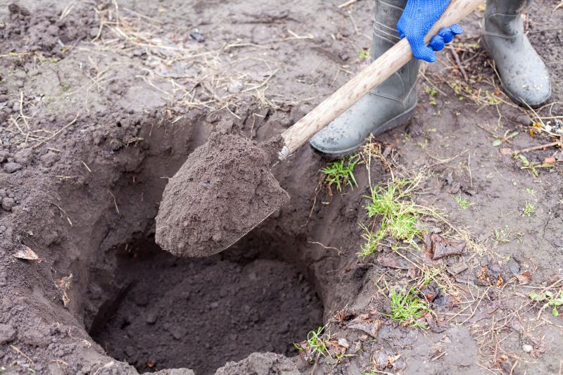 Post-Trenching Site Cleanup